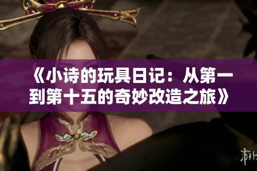 《小诗的玩具日记：从第一到第十五的奇妙改造之旅》