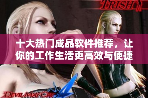 十大热门成品软件推荐，让你的工作生活更高效与便捷