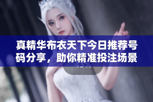真精华布衣天下今日推荐号码分享，助你精准投注场景分析