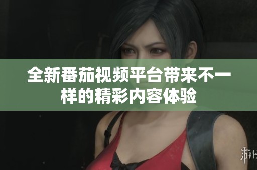 全新番茄视频平台带来不一样的精彩内容体验