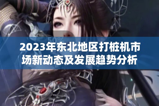 2023年东北地区打桩机市场新动态及发展趋势分析