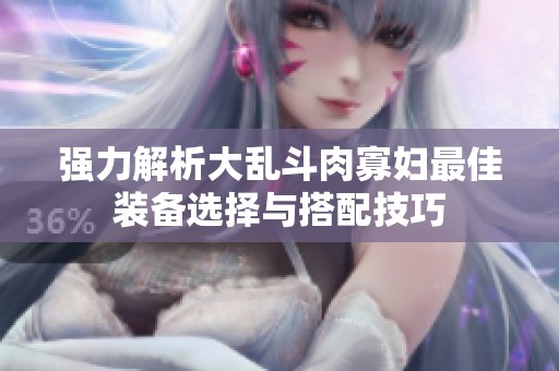 强力解析大乱斗肉寡妇最佳装备选择与搭配技巧
