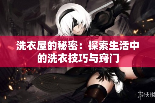 洗衣屋的秘密：探索生活中的洗衣技巧与窍门