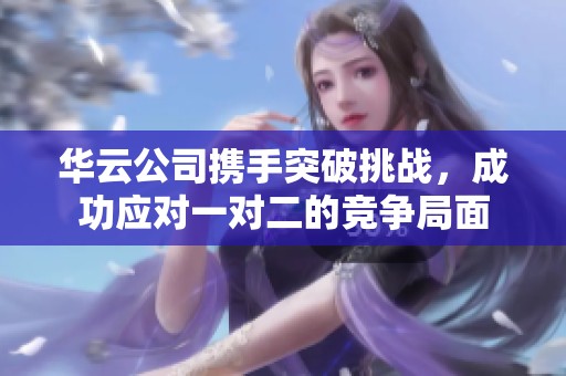华云公司携手突破挑战，成功应对一对二的竞争局面