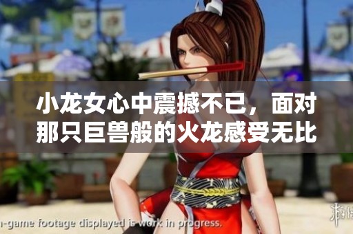 小龙女心中震撼不已，面对那只巨兽般的火龙感受无比深刻