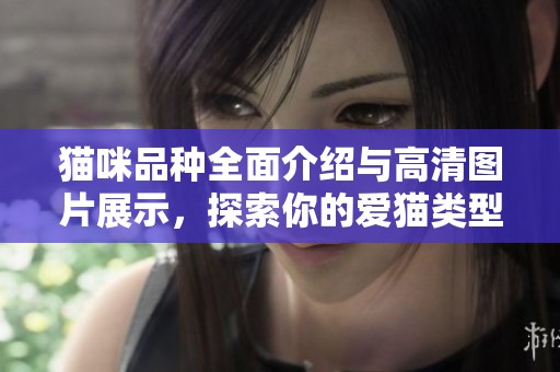猫咪品种全面介绍与高清图片展示，探索你的爱猫类型