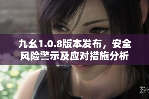 九幺1.0.8版本发布，安全风险警示及应对措施分析