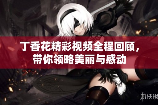 丁香花精彩视频全程回顾，带你领略美丽与感动