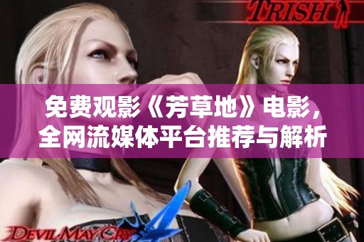 免费观影《芳草地》电影，全网流媒体平台推荐与解析