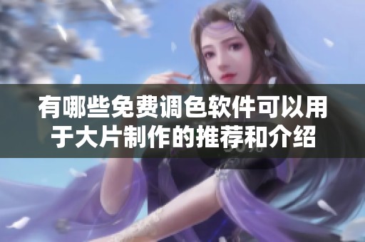 有哪些免费调色软件可以用于大片制作的推荐和介绍
