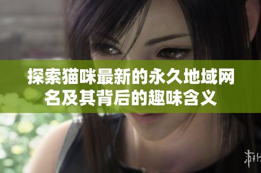 探索猫咪最新的永久地域网名及其背后的趣味含义