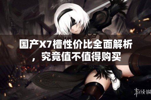 国产X7槽性价比全面解析，究竟值不值得购买
