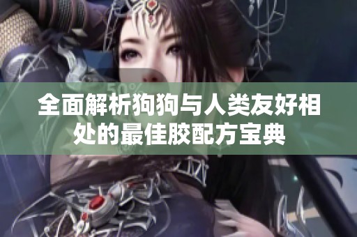 全面解析狗狗与人类友好相处的最佳胶配方宝典