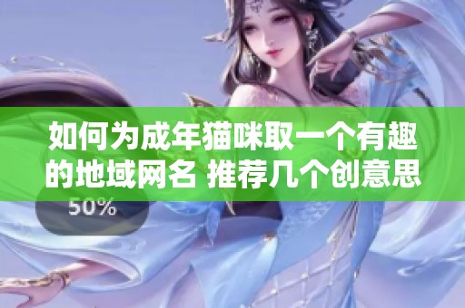 如何为成年猫咪取一个有趣的地域网名 推荐几个创意思路