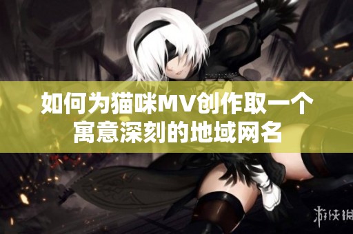 如何为猫咪MV创作取一个寓意深刻的地域网名