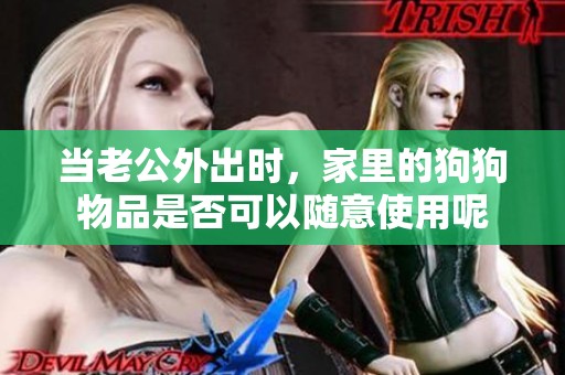 当老公外出时，家里的狗狗物品是否可以随意使用呢