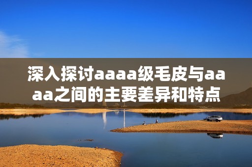 深入探讨aaaa级毛皮与aaaa之间的主要差异和特点