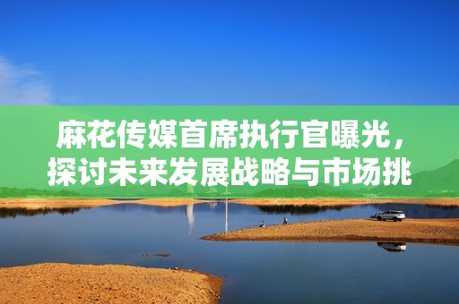 麻花传媒首席执行官曝光，探讨未来发展战略与市场挑战