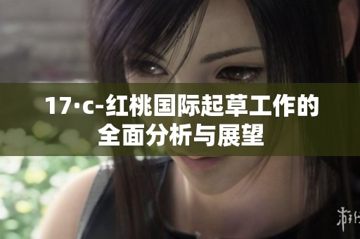 17·c-红桃国际起草工作的全面分析与展望