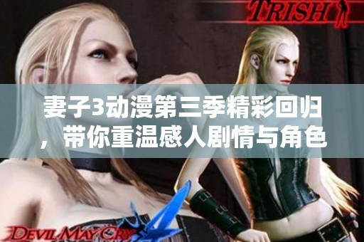 妻子3动漫第三季精彩回归，带你重温感人剧情与角色发展