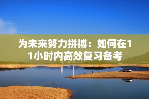 为未来努力拼搏：如何在11小时内高效复习备考