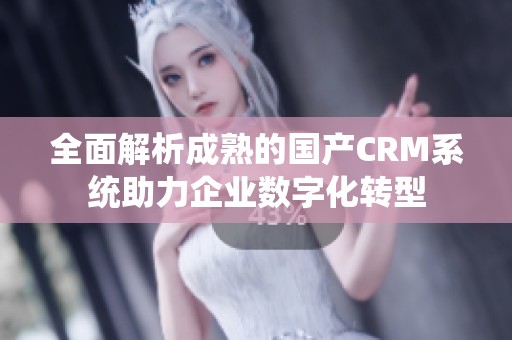 全面解析成熟的国产CRM系统助力企业数字化转型