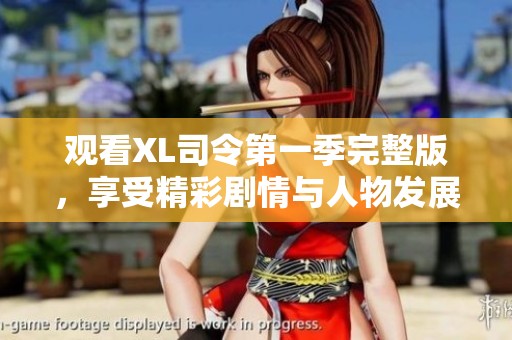 观看XL司令第一季完整版，享受精彩剧情与人物发展