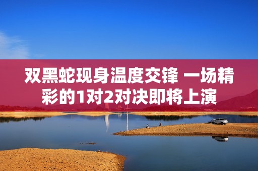 双黑蛇现身温度交锋 一场精彩的1对2对决即将上演