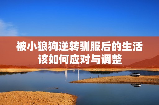 被小狼狗逆转驯服后的生活该如何应对与调整