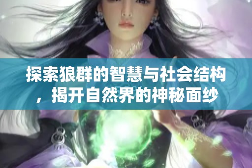 探索狼群的智慧与社会结构，揭开自然界的神秘面纱