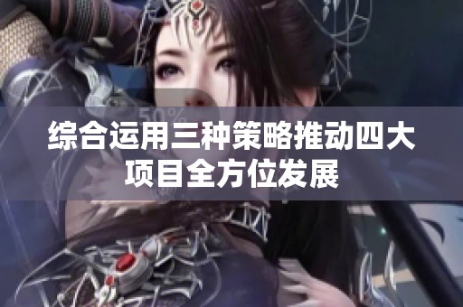 综合运用三种策略推动四大项目全方位发展