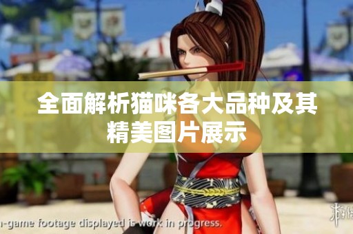 全面解析猫咪各大品种及其精美图片展示