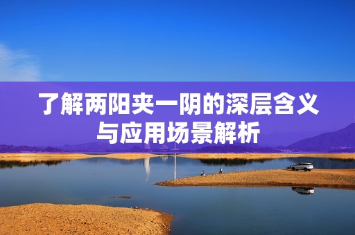 了解两阳夹一阴的深层含义与应用场景解析