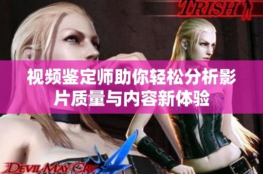 视频鉴定师助你轻松分析影片质量与内容新体验