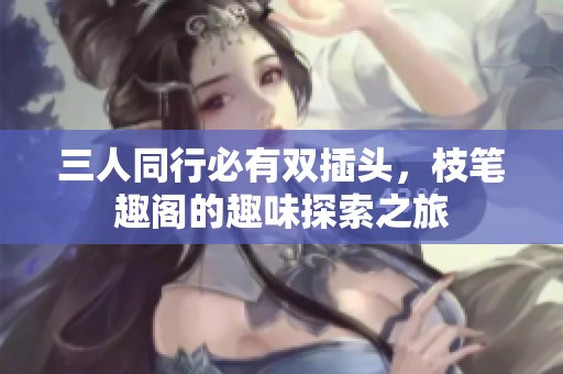三人同行必有双插头，枝笔趣阁的趣味探索之旅