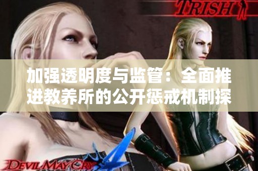 加强透明度与监管：全面推进教养所的公开惩戒机制探讨