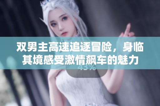 双男主高速追逐冒险，身临其境感受激情飙车的魅力