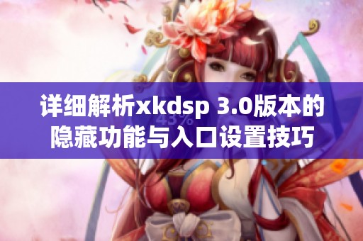 详细解析xkdsp 3.0版本的隐藏功能与入口设置技巧