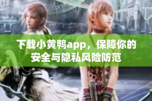下载小黄鸭app，保障你的安全与隐私风险防范