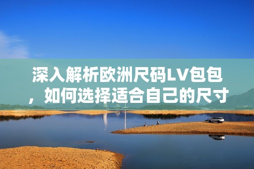 深入解析欧洲尺码LV包包，如何选择适合自己的尺寸