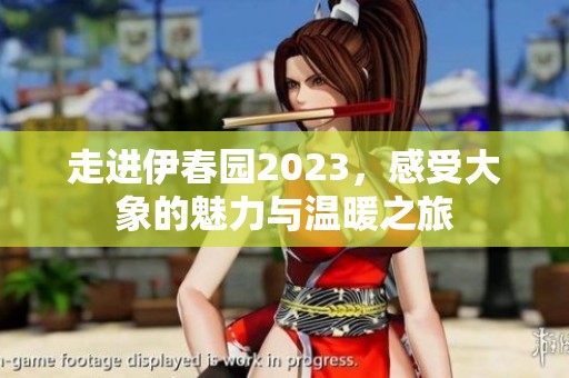 走进伊春园2023，感受大象的魅力与温暖之旅