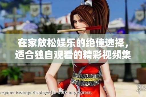 在家放松娱乐的绝佳选择，适合独自观看的精彩视频集锦