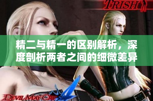 精二与精一的区别解析，深度剖析两者之间的细微差异