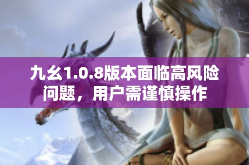 九幺1.0.8版本面临高风险问题，用户需谨慎操作