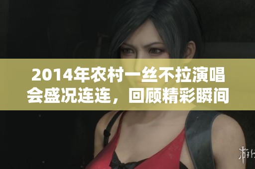 2014年农村一丝不拉演唱会盛况连连，回顾精彩瞬间