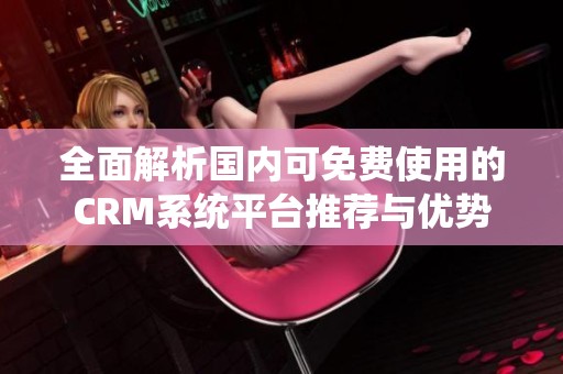 全面解析国内可免费使用的CRM系统平台推荐与优势