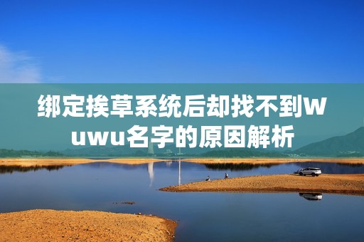 绑定挨草系统后却找不到Wuwu名字的原因解析