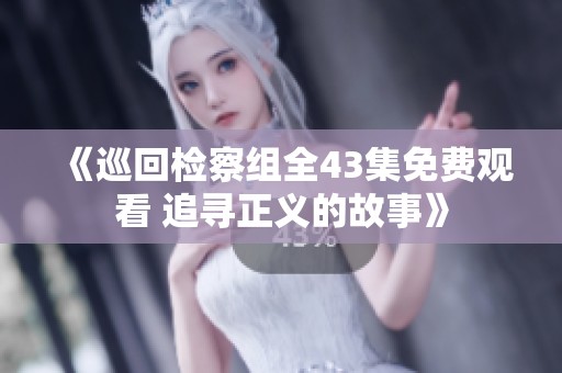 《巡回检察组全43集免费观看 追寻正义的故事》
