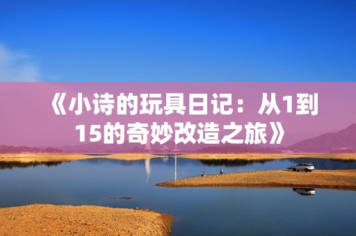 《小诗的玩具日记：从1到15的奇妙改造之旅》
