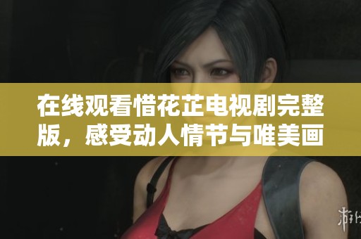 在线观看惜花芷电视剧完整版，感受动人情节与唯美画面